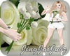Valentine Roses White