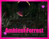 🌳Ambient Forrest🌳