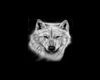 white wolves club*bundle