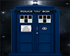 The Doctors' TARDIS