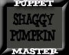 Shaggy Pumpkin