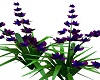 Purple Blue flowers 3d