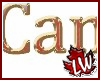 "Canada" -animated flash