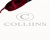 Plantaris red+
