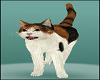 Cat w Meow Sounds Male Animals Outfits 