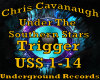 Under the Southern Stars