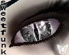 [SF]Gray Demon Eyes