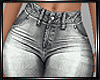 E* Gray Metalic Pants RL