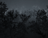 Dark Moon Forest 2