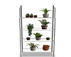 Plant Shelf 1