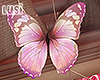 ♥ Spring Butterfly