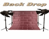 ~R~ Back Drop