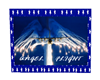 Angel Flight vs2