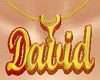 david necklaces