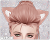 ✨  Peach Cat Ears