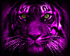 (BR) Tiger Sticker
