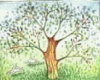 HW: Animated Tree