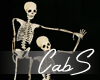 CS Skeletons Group