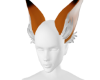 true orange fox ears