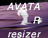 AVATAR resizer