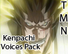 Kenpachi Voice Pack
