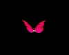 Butterfly pink