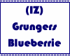 (IZ) Grunge Blueberrie