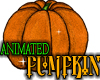 Glitter Pumpkin ~SALE~