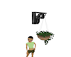 CountryHangingPlant