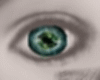 [L] Eyes Multi Color