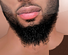 DNZ Beards