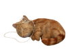 Ginger Cat with Crown