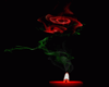 Animated Rose Candle