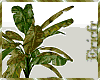 [Efr] Banana Plant v3