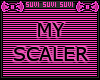 My perfect scaler v2