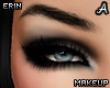 !A Erin Makeup - Steel