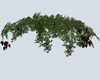 Dark Red Grape Vine Add