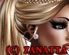 (CZ) Andareza Earrings