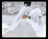 Fallen angel white