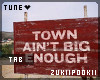 |Z|Town Ain't Big Enough