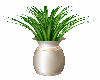 Plant white, gold vase