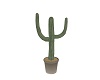 funny animated cactus