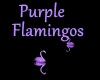 [BD]PurpleFlamingos