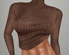 ~CR~Naly Brown Sweater