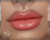 ℳ▸Dima Zell V3