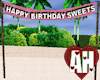 [AH] SWEETS BDAY BANNER