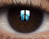 Eyes