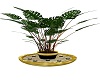 Luxus Plant w/candles