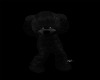 B! Black Teddy Dancing