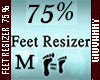 GI*FEET RESIZER 75 %